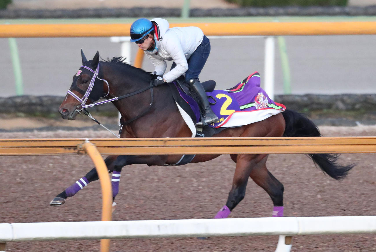 福永騎手を背にCウッドで軽快に追い切るオーヴェルニュ（撮影・白石智彦）
