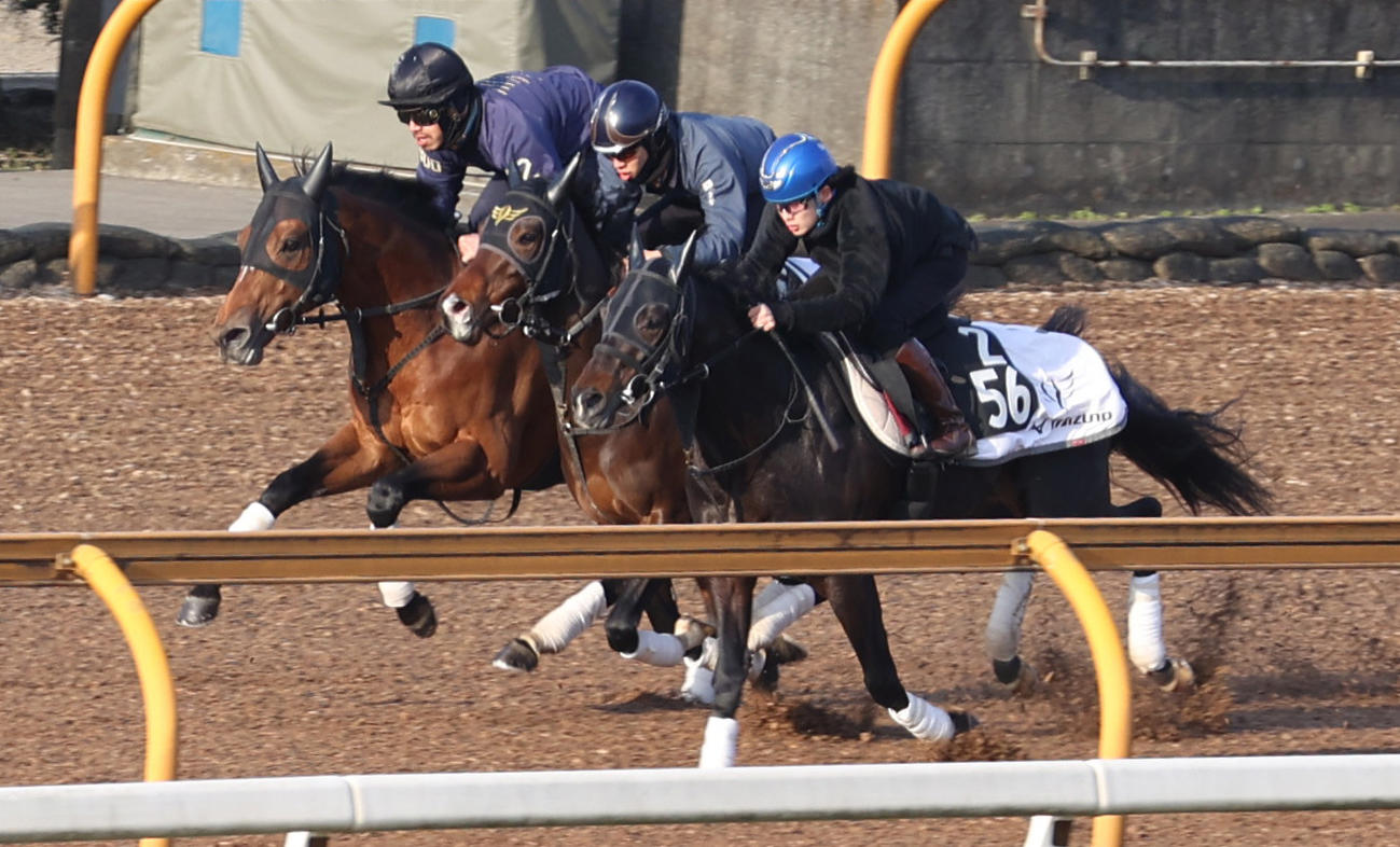 CWコースにて3頭併せで追い切るレッドルゼル（左奥）