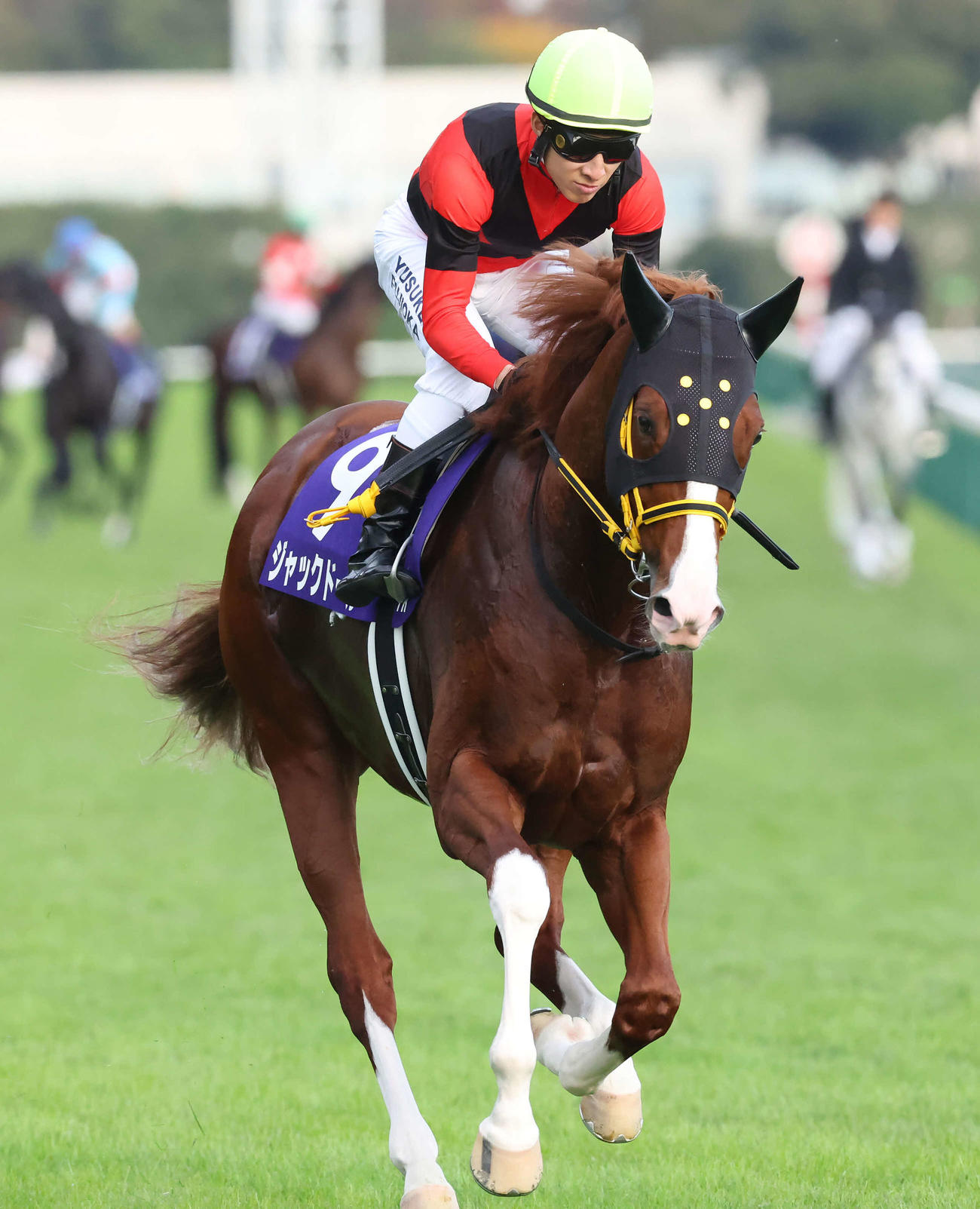 ジャックドール（2022年10月30日撮影）
