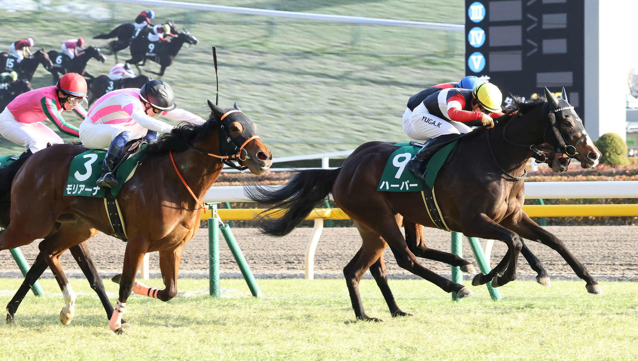 直線鋭く伸びてクイーンCを制したハーパーと川田騎手（右）（撮影・丹羽敏通）