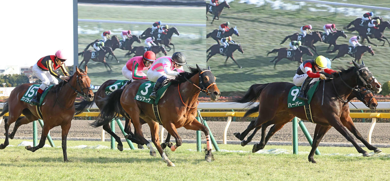東京11R、直線鋭く伸びてクイーンCを制したハーパーと川田騎手（右）（撮影・丹羽敏通）