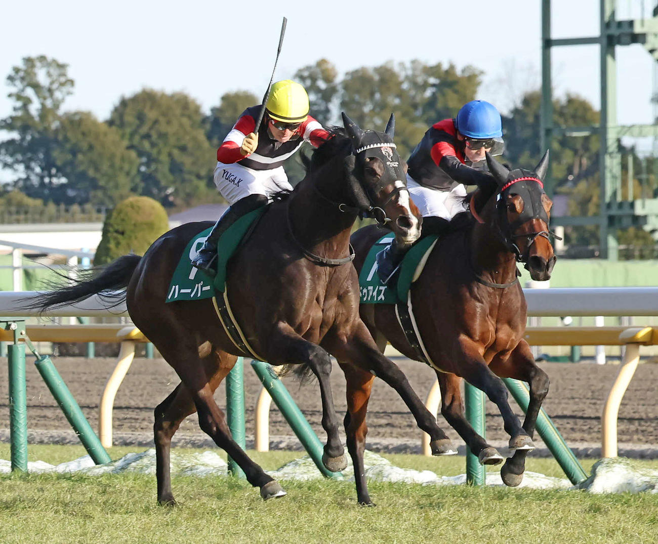 クイーンC2着に敗れたドゥアイズ（右）。左は勝ったハーパー