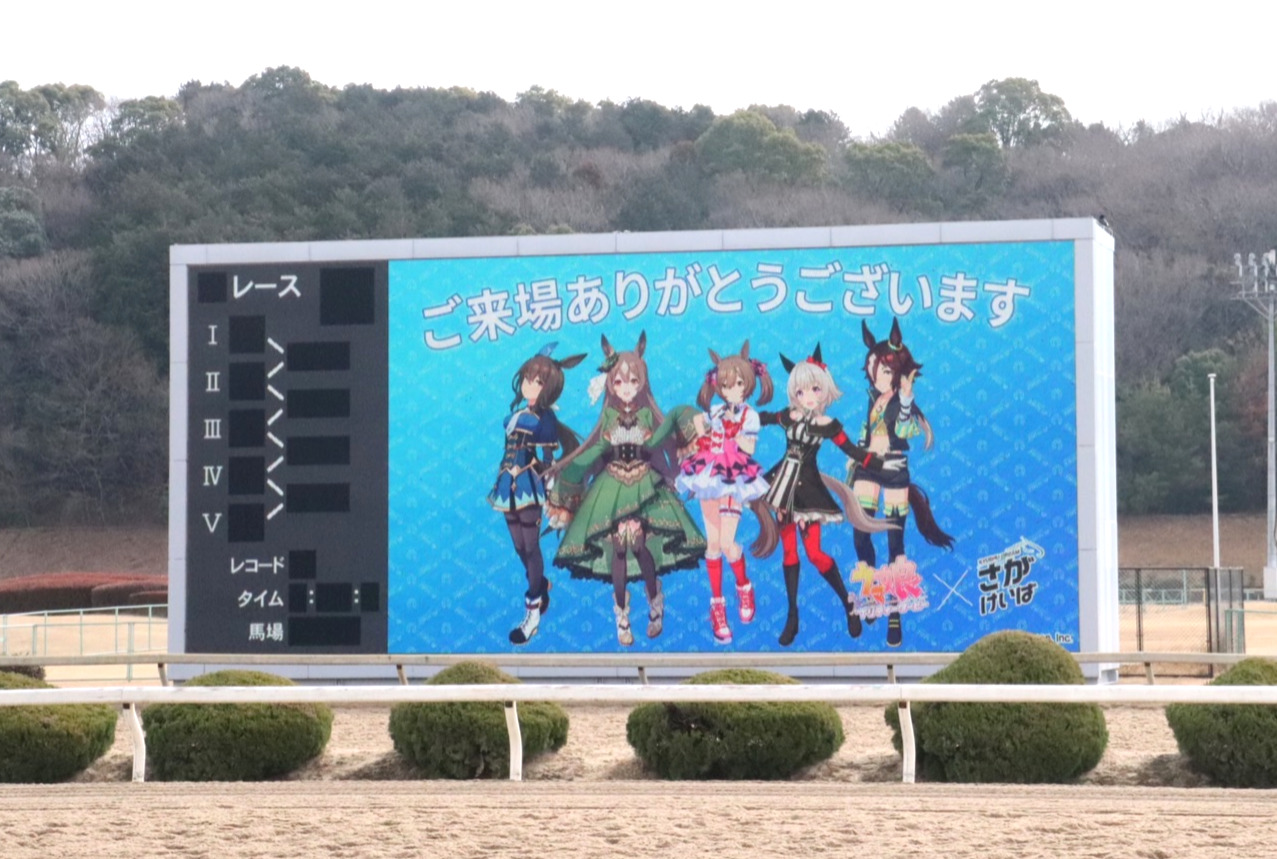場内のビジョンに「ウマ娘」が映し出される佐賀競馬場（撮影・松本健史）