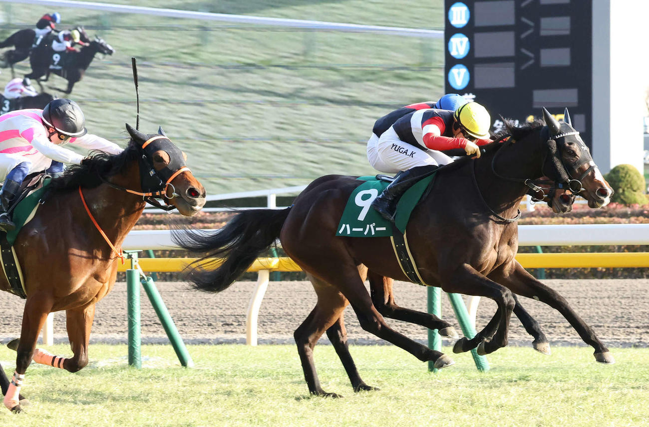 直線鋭く伸びてクイーンCを制したハーパーと川田騎手（右）（撮影・丹羽敏通）