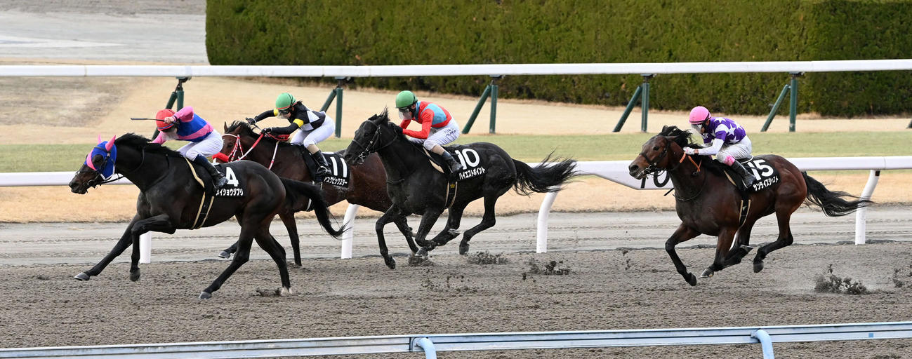 小倉11R、好位から抜け出し和布刈特別を制したメイショウジブリ（撮影・前岡正明）