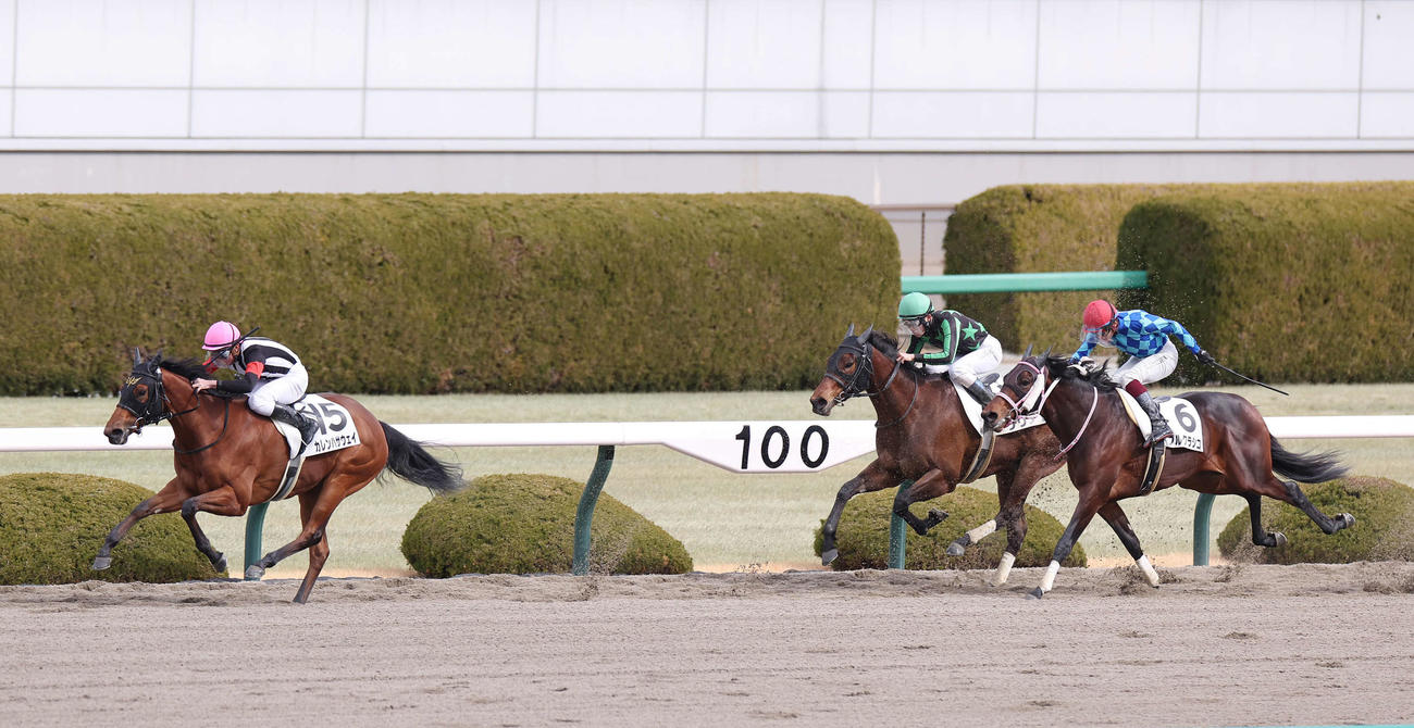 阪神4R、3歳新馬戦を制した岩田望騎手とカレンハサウェイ（左）（撮影・前田充）