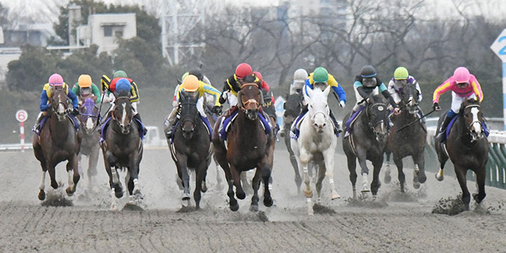 直線抜け出したカフェファラオ（中央）がフェブラリースSを制した＝2022年2月20日、東京競馬場
