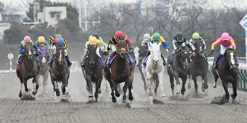 直線抜け出したカフェファラオ(中央)がフェブラリースSを制した=2022年2月20日、東京競馬場