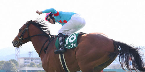 小倉大賞典を制したアリーヴォと横山和生騎手＝2022年2月20日、小倉競馬場
