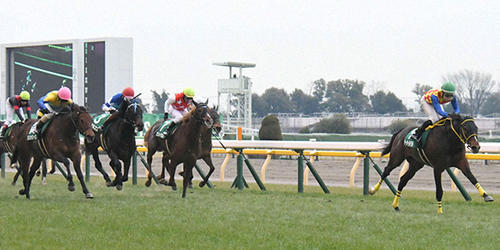 直線抜け出したテーオーロイヤル(右)がダイヤモンドSを制した=2022年2月19日、東京競馬場