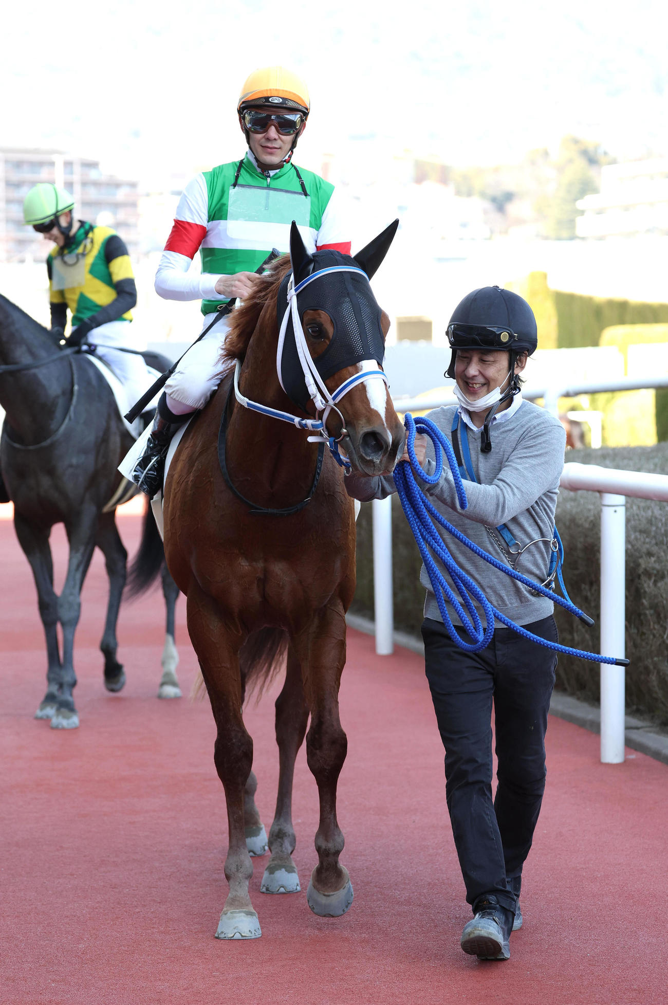 阪神4R、新馬戦を快勝したセラフィックコール（撮影・白石智彦）