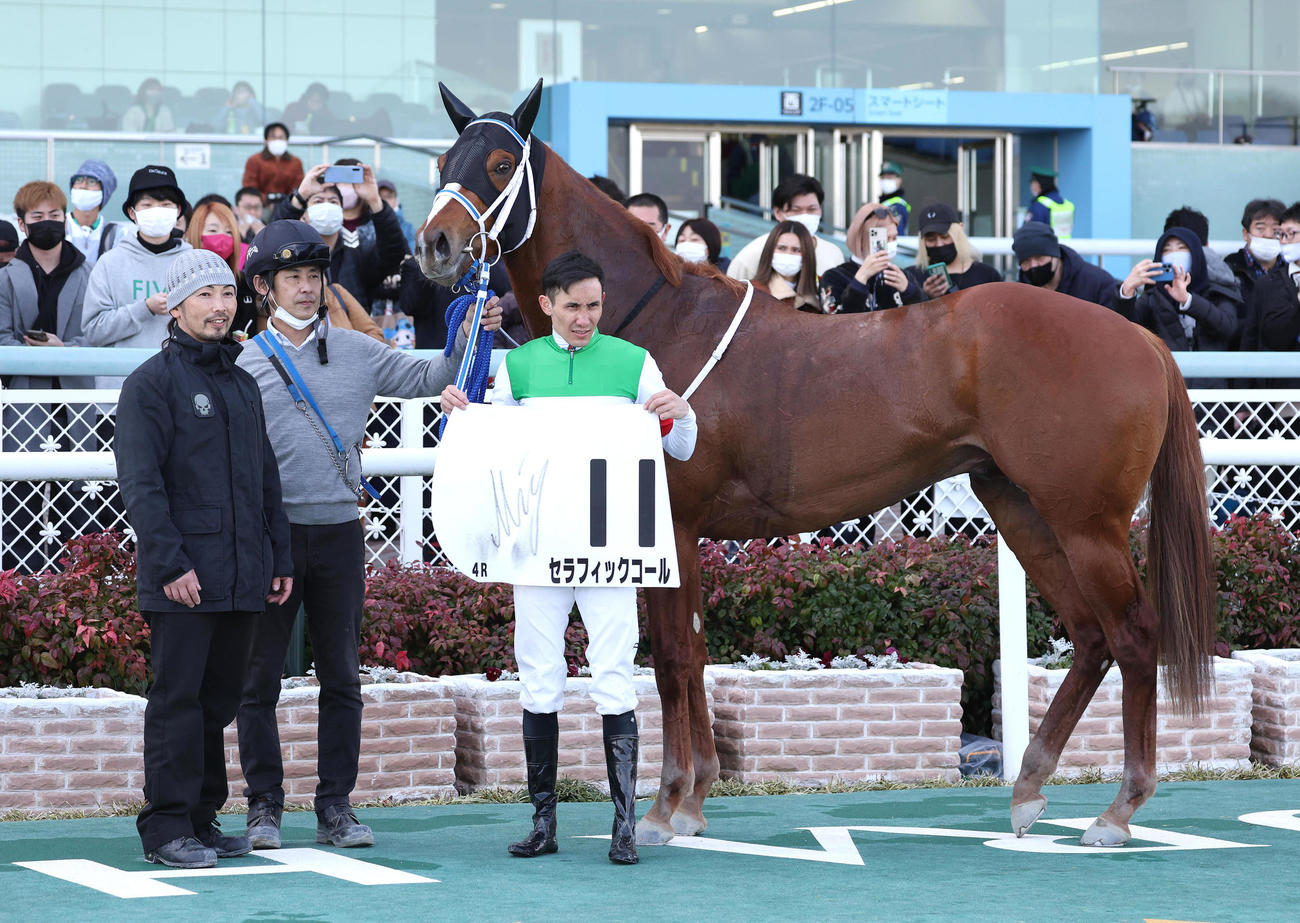 阪神4R、新馬戦を快勝したセラフィックコールと口取りに並ぶムルザバエフ騎手（右）（撮影・白石智彦）