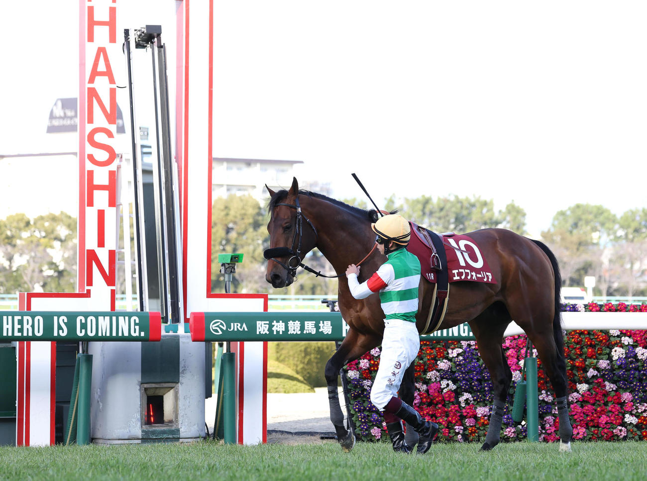 エフフォーリアはゴール直前で横山武騎手が下馬して競走中止になる（撮影・白石智彦）