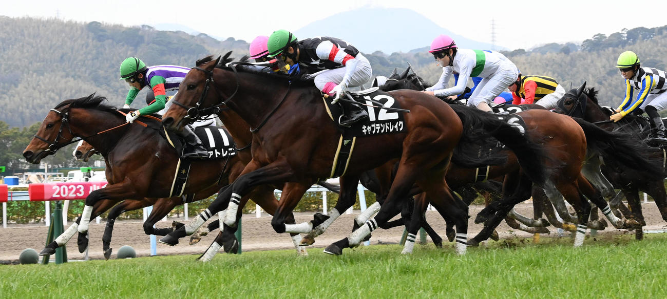 大混戦を抜け出し北九州短距離Sを制したヴァトレニ（撮影・前岡正明）