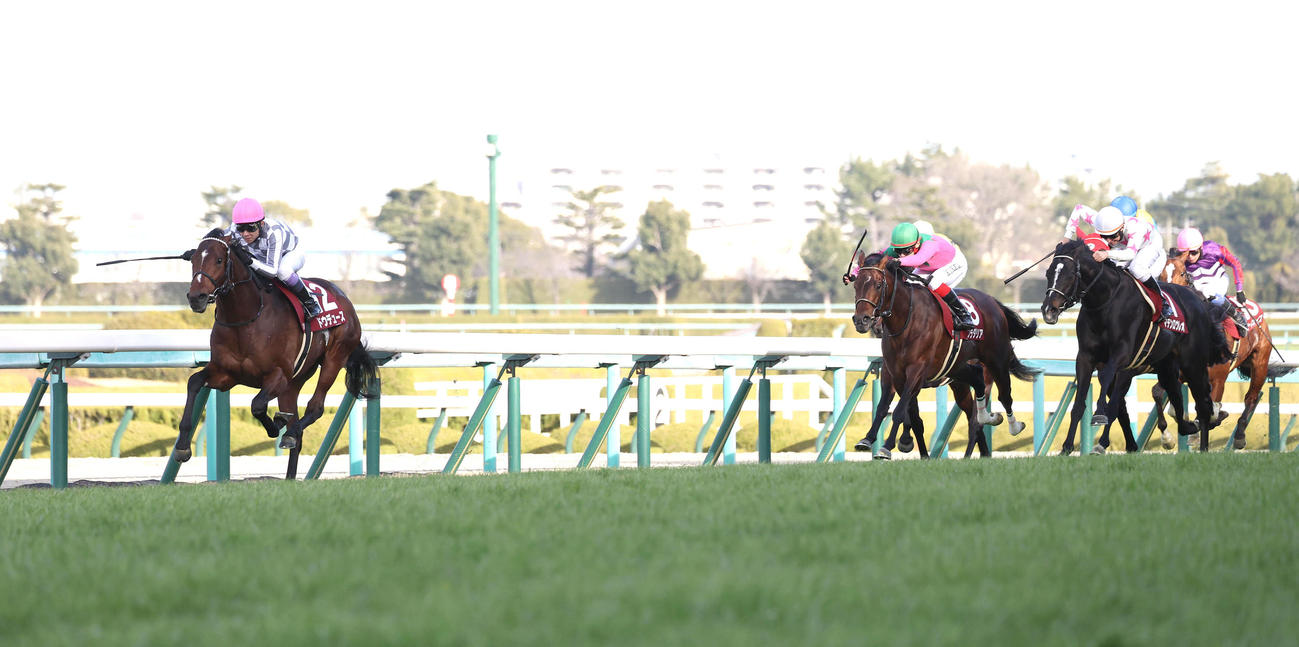 阪神11R、直線力強く伸びて京都記念を快勝したドウデュース（左）（撮影・白石智彦）