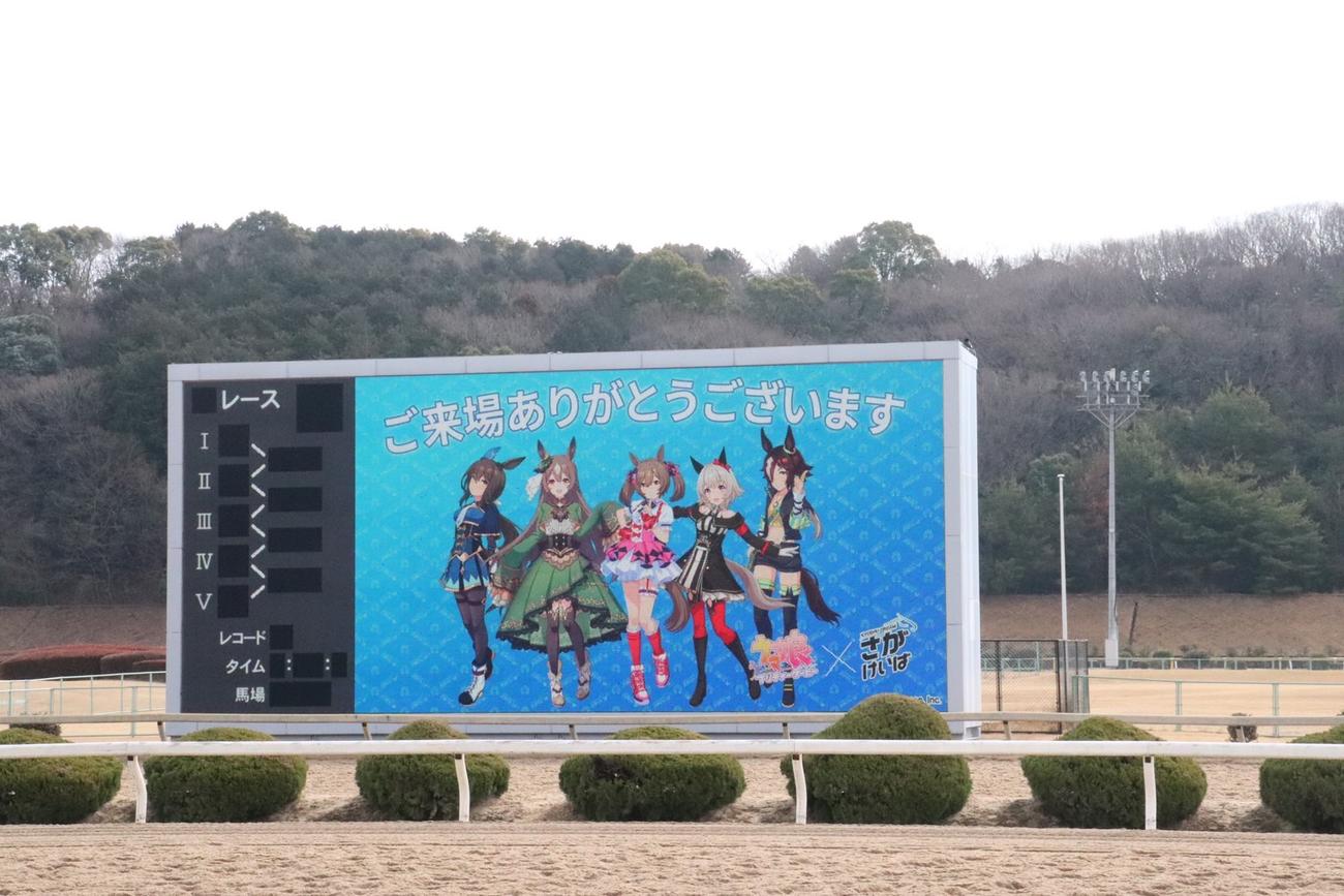 「ウマ娘　プリティ－ダービー」コラボイベント開催で、場内ビジョンに「ウマ娘」が映し出される佐賀競馬場