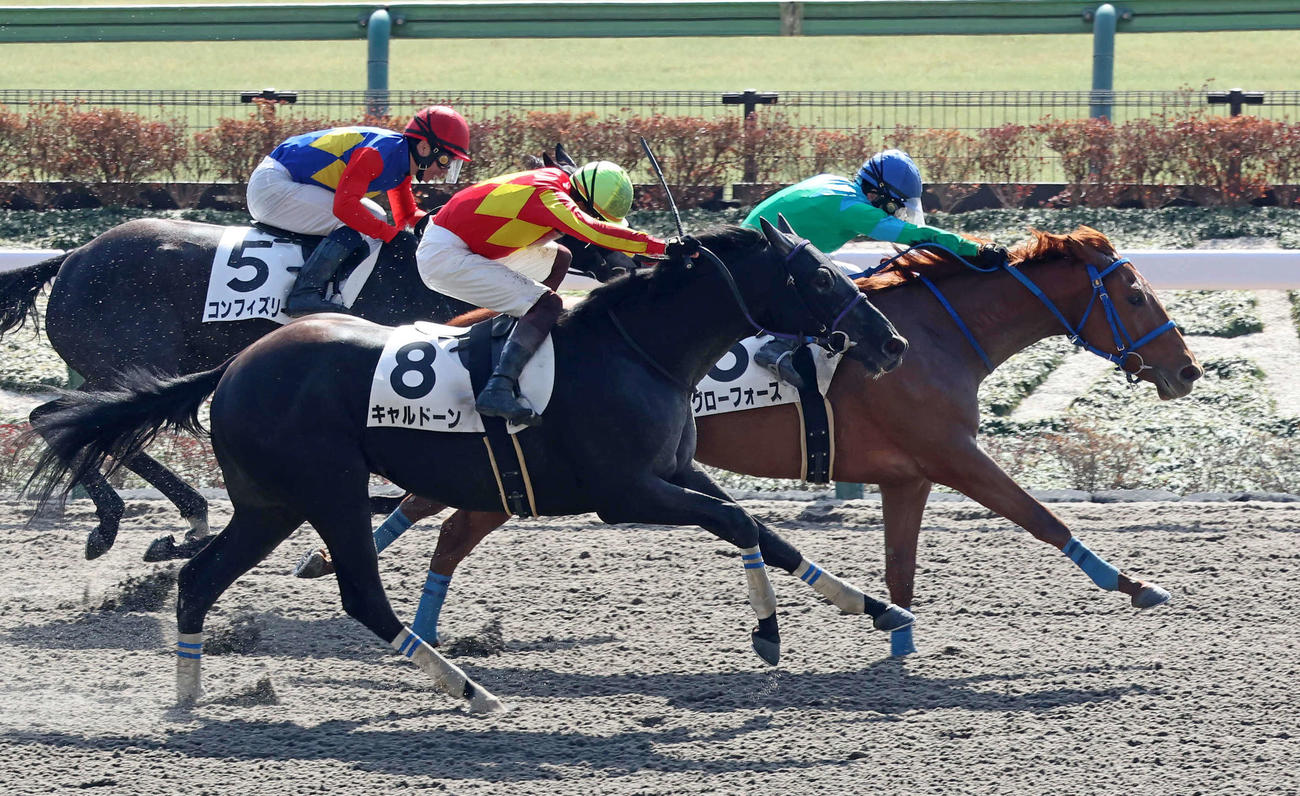 新馬戦を制したグローフォースと武藤騎手（右）（撮影・丹羽敏通）