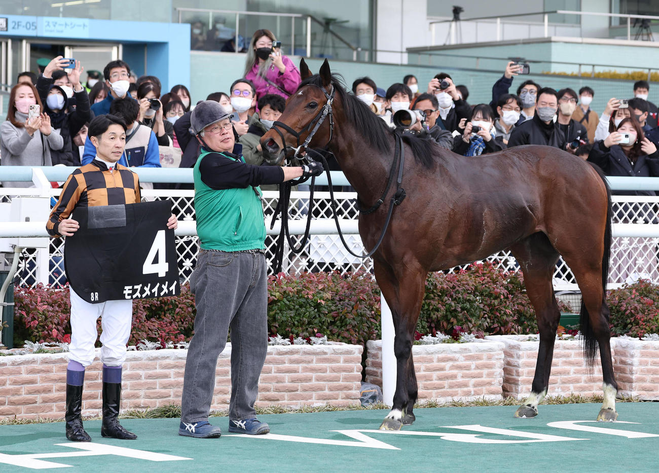 阪神8R、こぶし賞を制したモズメイメイと口取りに並ぶ武豊騎手（左）（撮影・白石智彦）