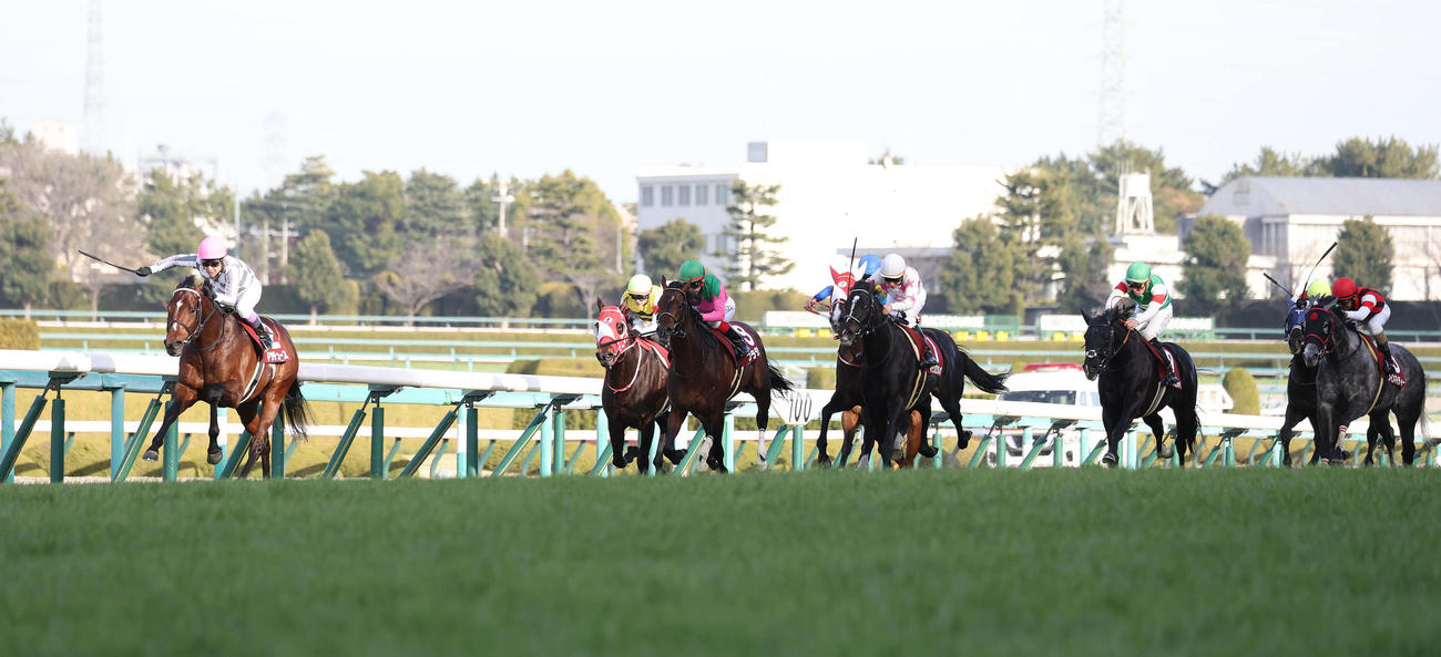 直線力強く伸びて京都記念を快勝したドウデュース（左）（撮影・白石智彦）