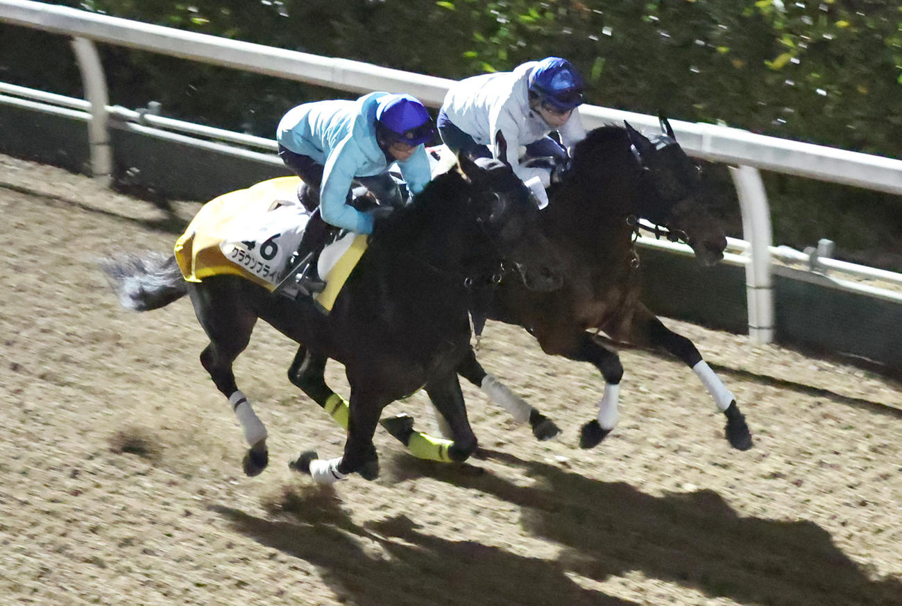 坂路にて併せ馬で追い切るクラウンプライド（左）とヴァンドギャルド