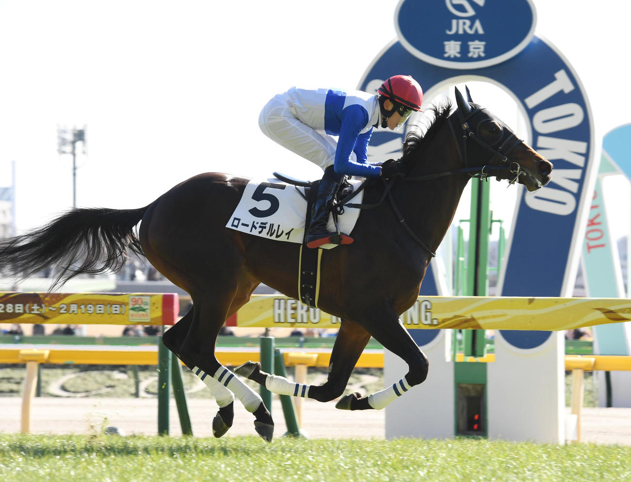 前走の新馬戦を制したロードデルレイ（23年1月29日撮影）