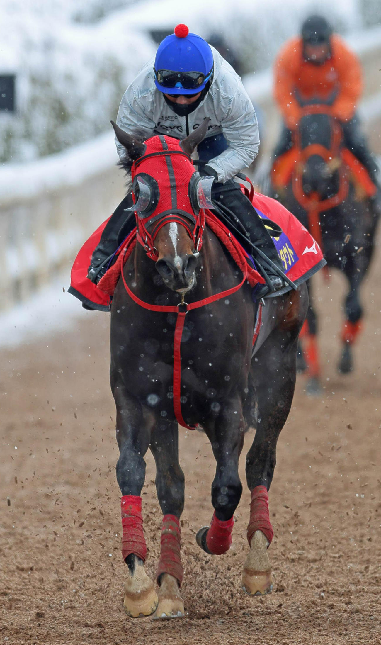 小雪舞う坂路で戸崎圭太騎手を背にフェブラリーSの追い切りを行ったドライスタウト