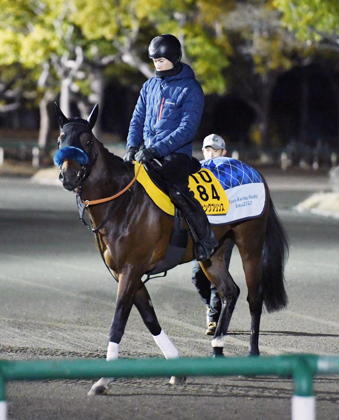 サウジアラビア遠征のため調教に向かうダンシングプリンス（撮影・柴田隆二）