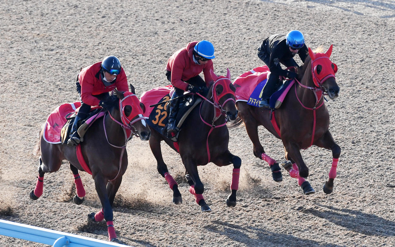 アドマイヤルプス（右）はブレストサンダー（中央）、エコロマーベリックと併せて追い切る（撮影・柴田隆二）