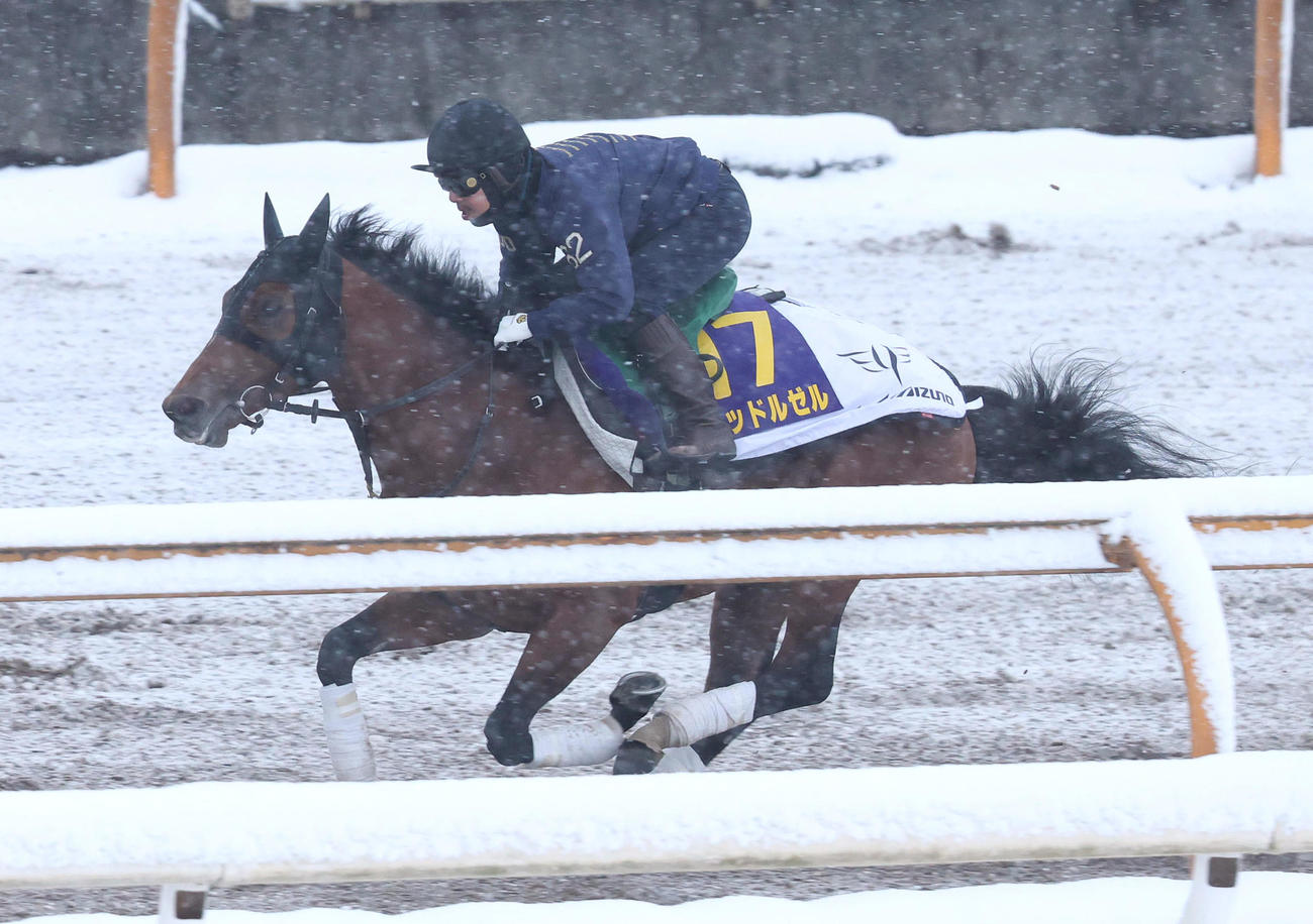 雪が降るCウッドを単走で追い切るレッドルゼル（撮影・白石智彦）