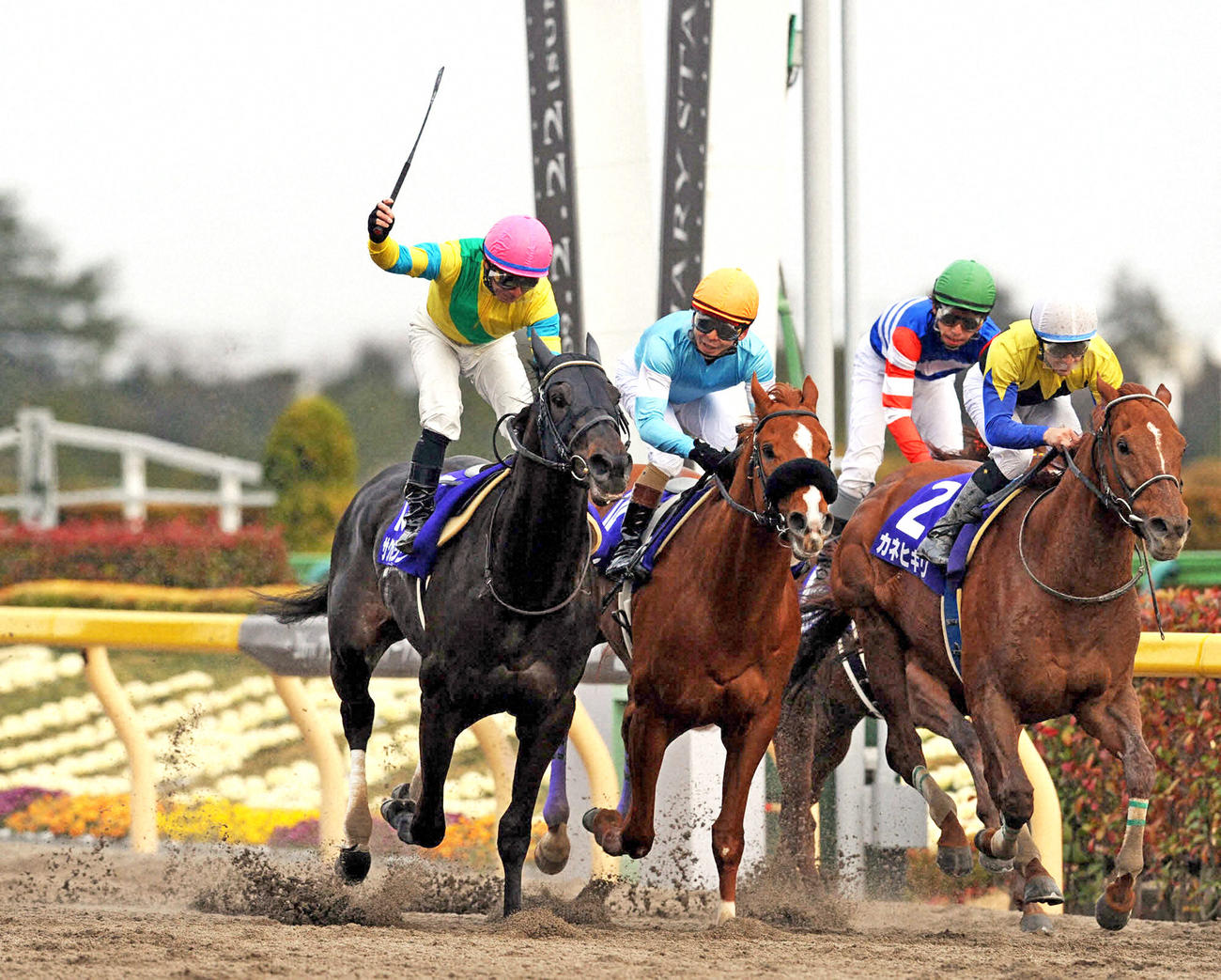 09年2月、フェブラリーS1着サクセスブロッケンの内田博幸騎手（左端）は会心のガッツポーズ