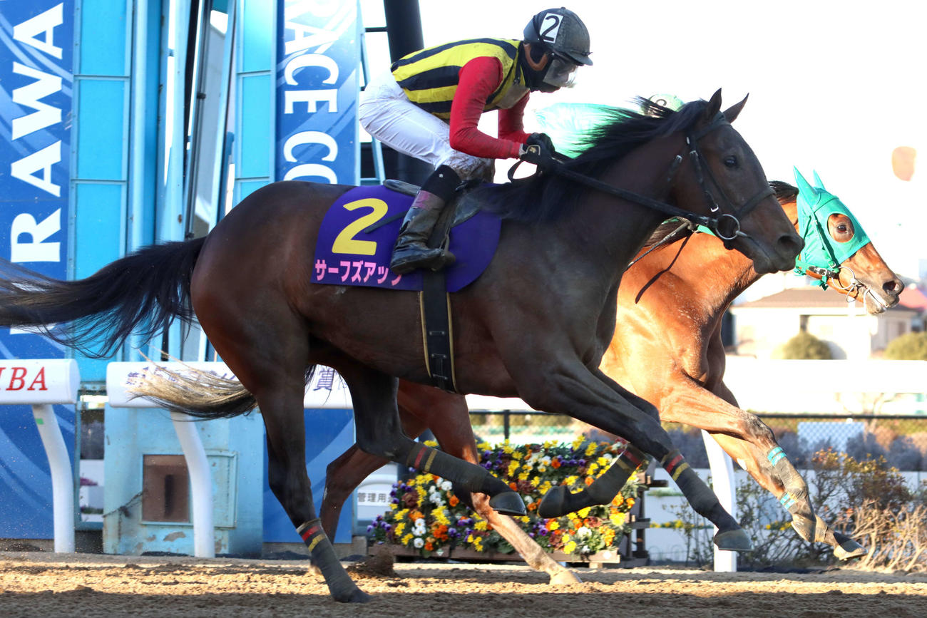 ゴール前で差し切り日刊スポーツ賞ユングフラウ賞を制したサーフズアップと御神本訓史騎手（手前）
