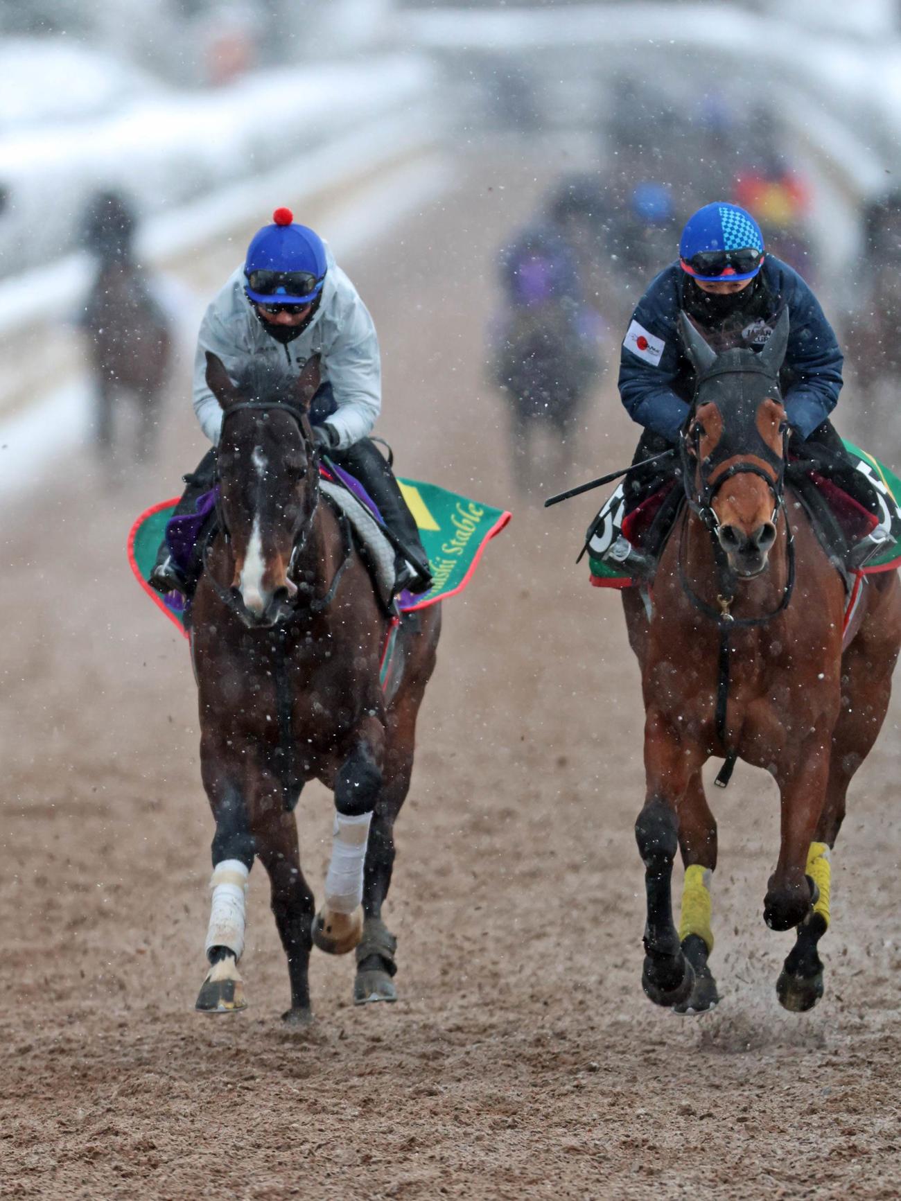 坂路で併せ馬のメニューをこなしたピクシーナイト（左）