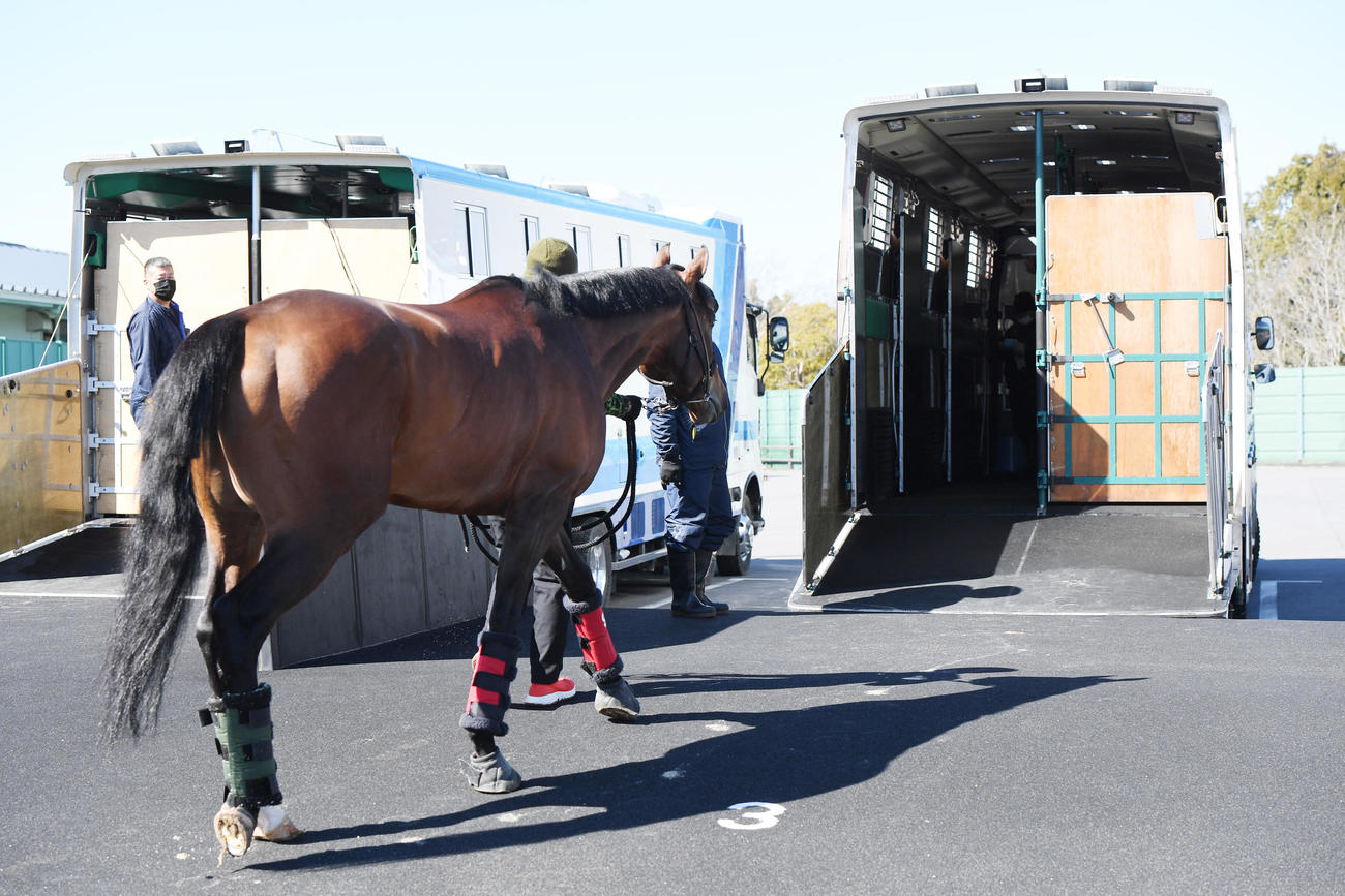 退厩するエフフォーリアは馬運車に向かう（撮影・柴田隆二）