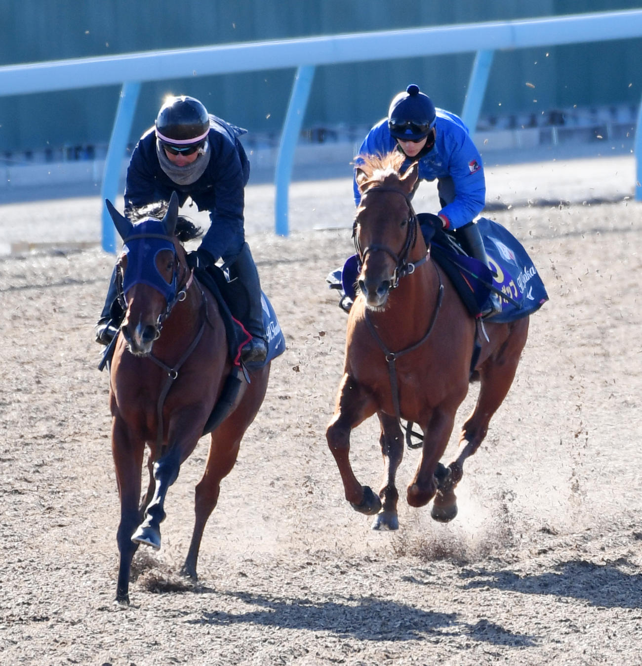 坂井瑠星騎手を背にレモンポップ（右）はハウゼと併せて追い切る（撮影・柴田隆二）