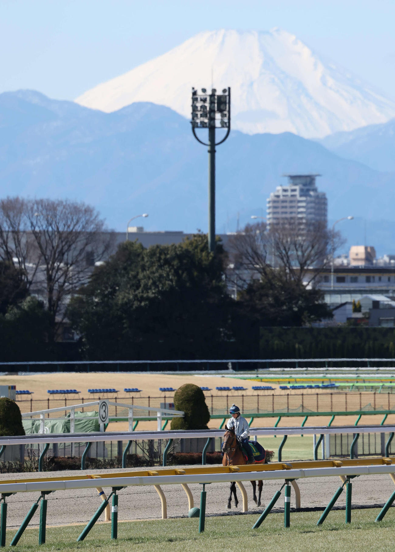 富士山を背にダートコースで運動するシャールズスパイト（撮影・丹羽敏通）