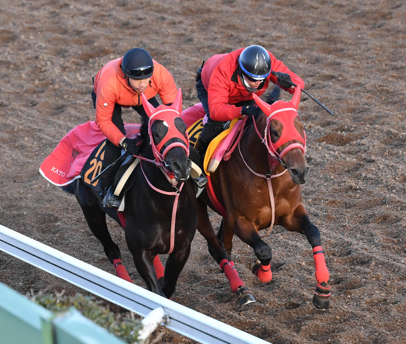 15日、トーセンカンビーナ（右）はロマンスオーサーと併せて追い切る