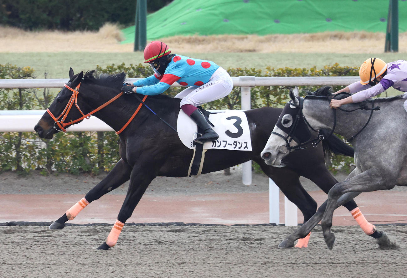小倉3R、今村騎手を背に逃げ切って3歳未勝利を勝ち上がったカンフーダンス（撮影・白石智彦）