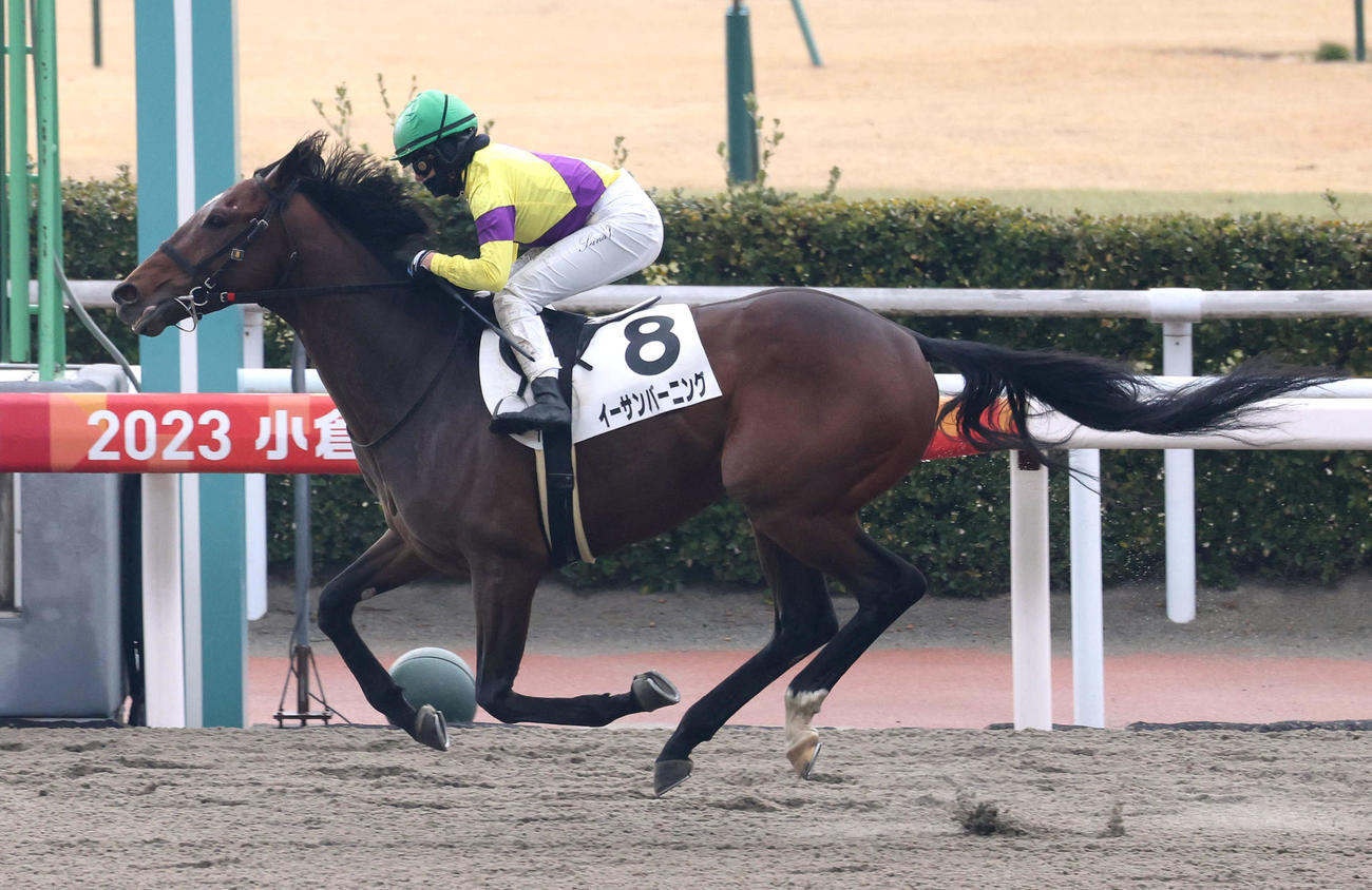 小倉7R、今村騎手を背に勝利したイーサンバーニング（撮影・白石智彦）