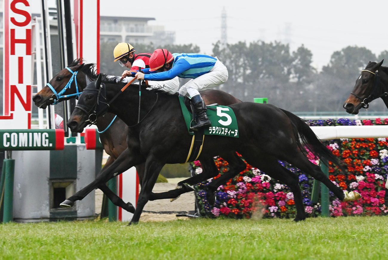 ゴール前、ハナ差で差し切り京都牝馬Sを制したララクリスティーヌ（撮影・和賀正仁）