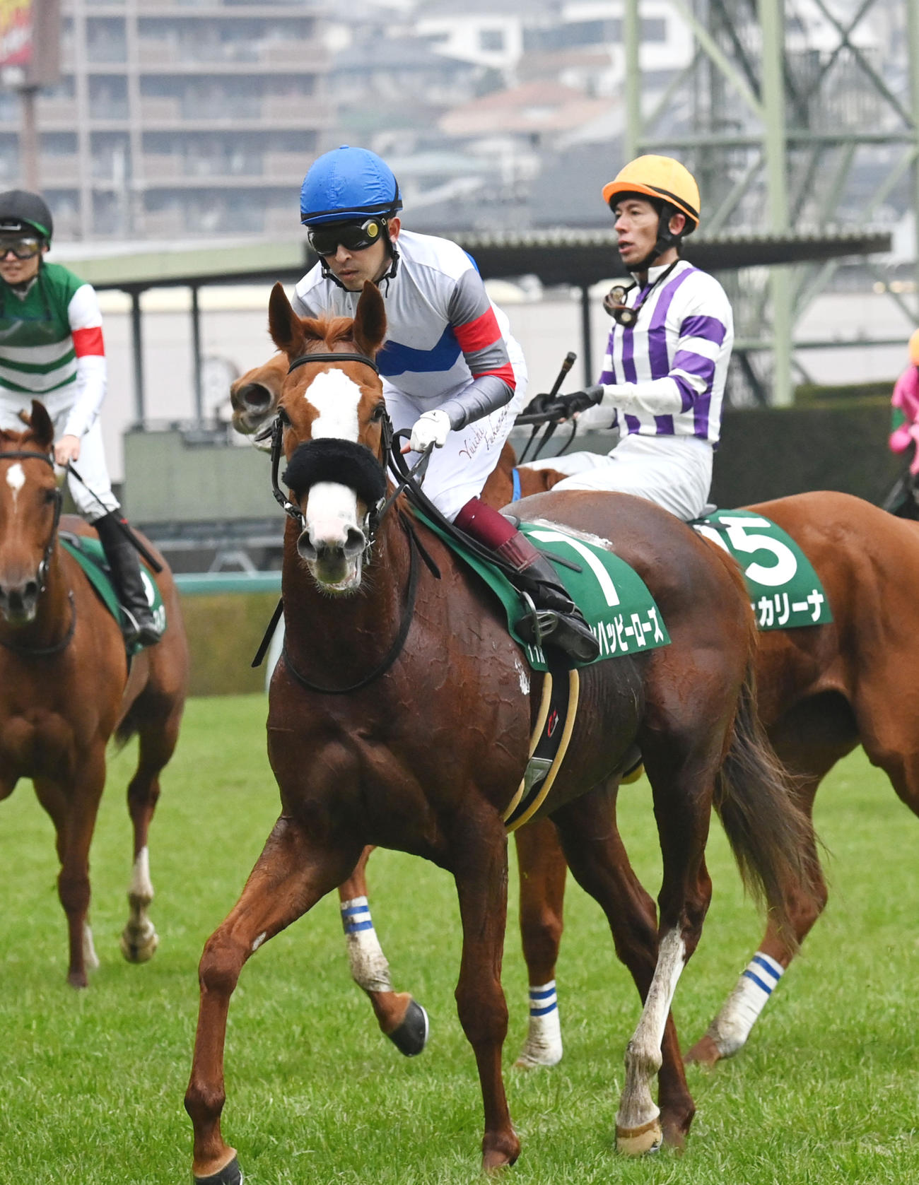 京都牝馬S 6着に敗れたテンハッピーローズと福永祐一騎手（撮影・和賀正仁）