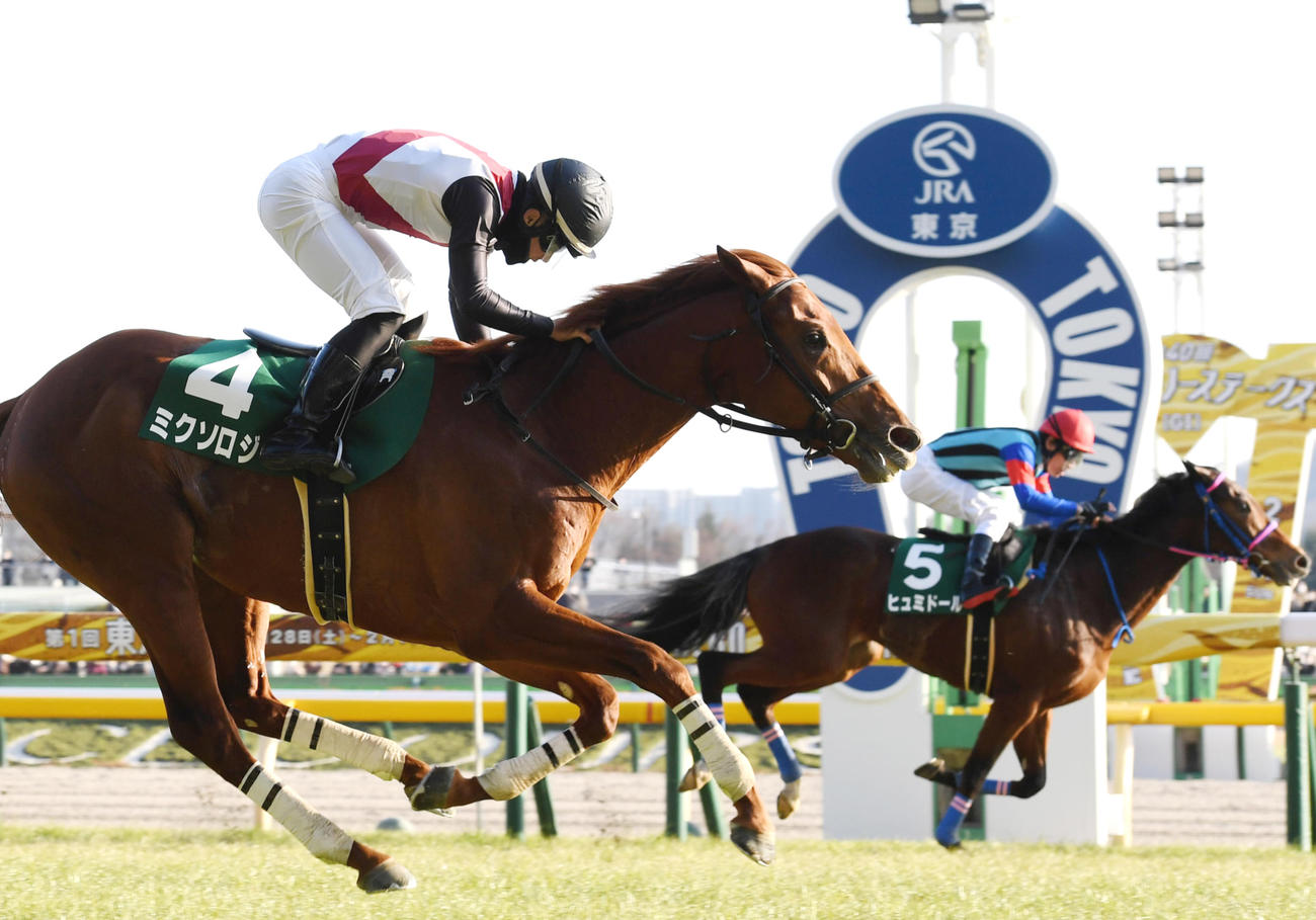 ダイヤモンドS2着に敗れたヒュミドール（奥）。手前は勝ったミクソロジー（手前）（撮影・柴田隆二）