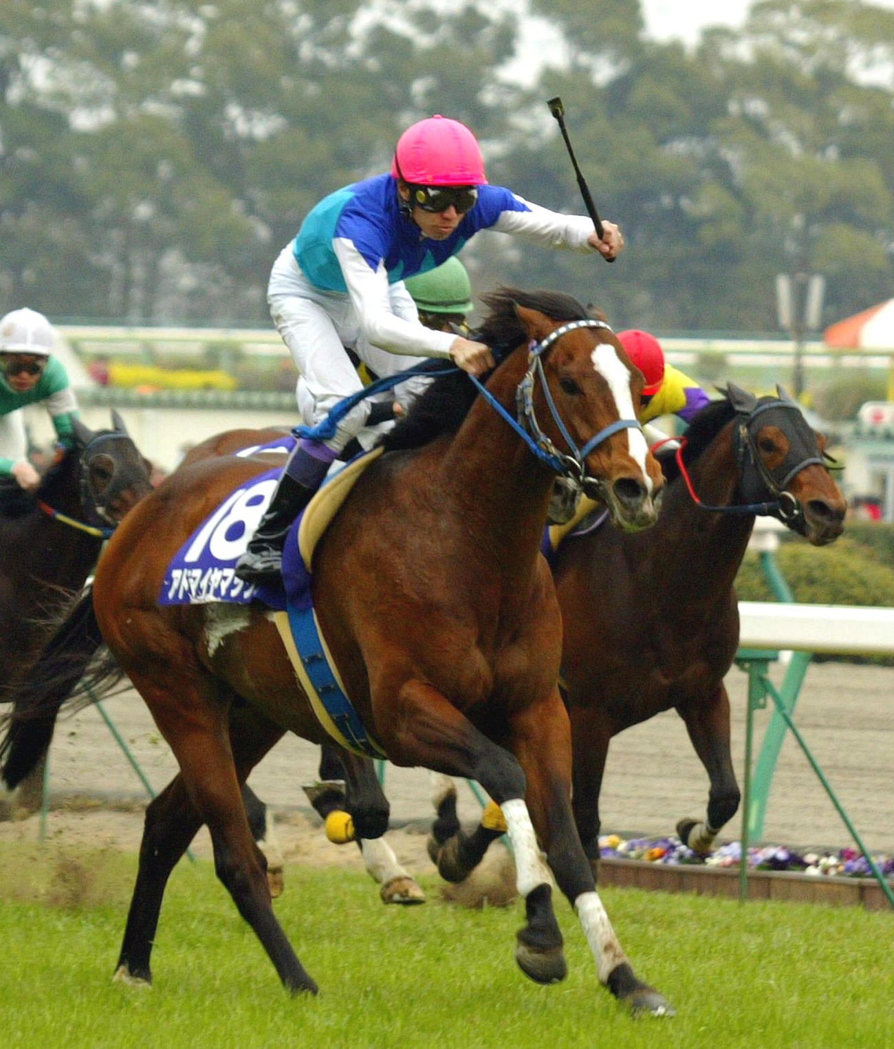 05年の高松宮記念を制したアドマイヤマックスと武豊騎手
