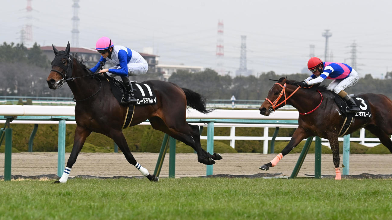 つばき賞を制したロードデルレイ。右は2着エマヌエーレ（撮影・和賀正仁）