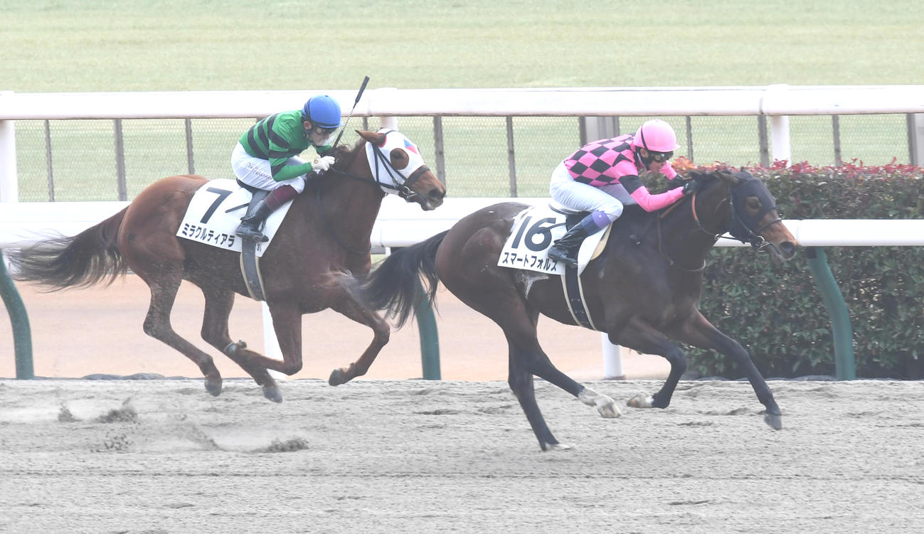 東京3Rの1着スマートフォルスと武豊騎手（右）、2着ミラクルティアラと福永騎手（撮影・柴田隆二）