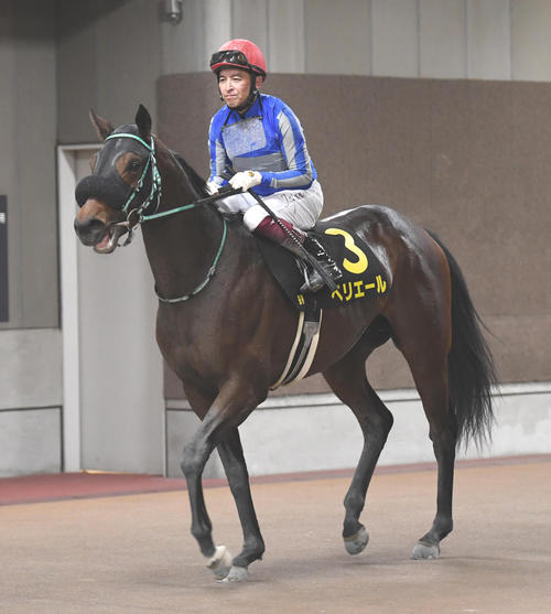 東京9RヒヤシンスSを制したペリエールと福永騎手（撮影・柴田隆二）