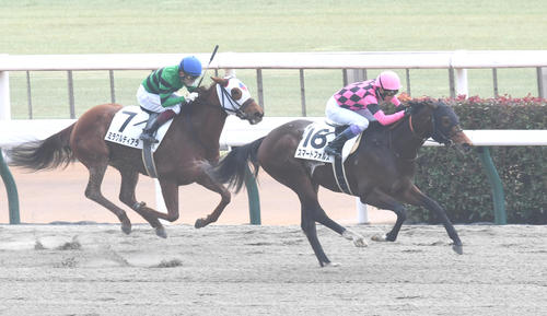 東京3Rの1着スマートフォルスと武豊騎手（右）、2着ミラクルティアラと福永騎手（撮影・柴田隆二）