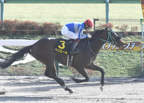 東京9RヒヤシンスSを制したペリエールと福永騎手（撮影・柴田隆二）