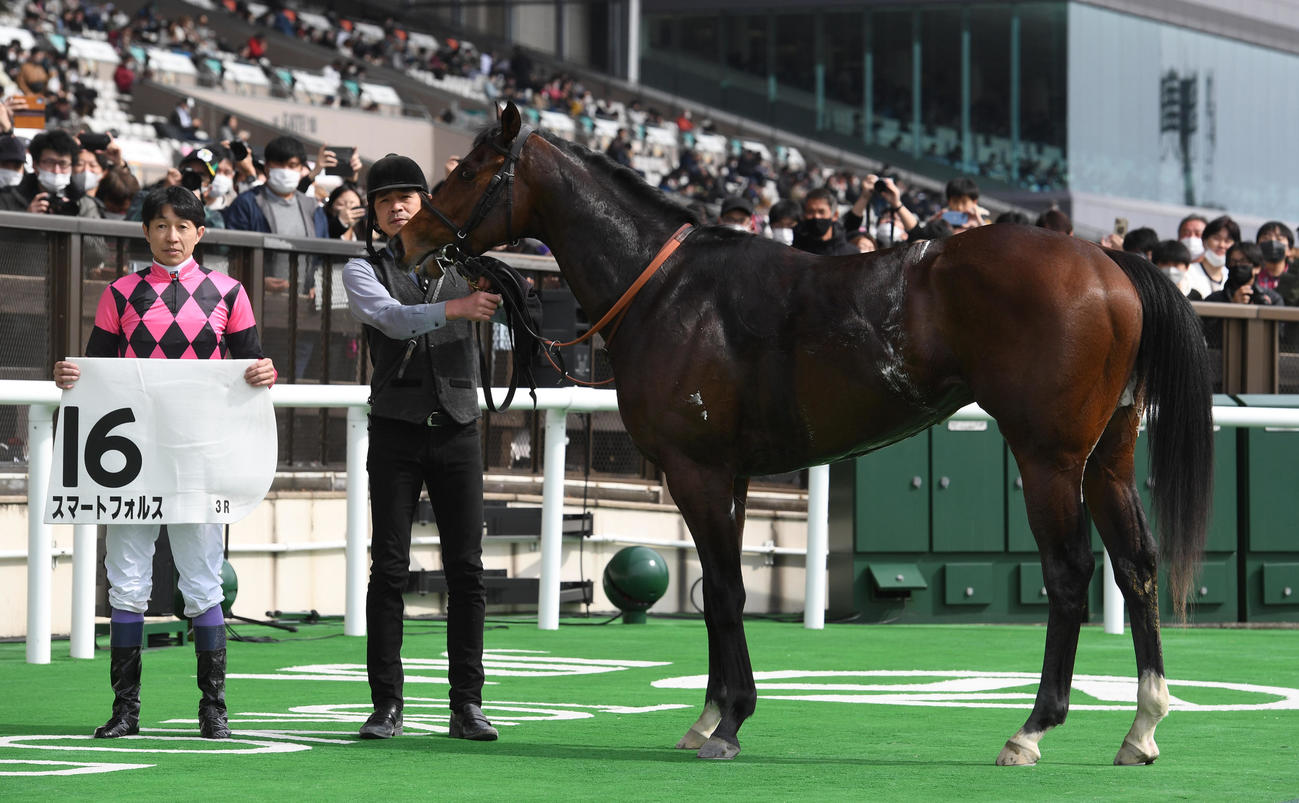 東京3Rを制したスマートフォルスと武豊騎手（撮影・柴田隆二）