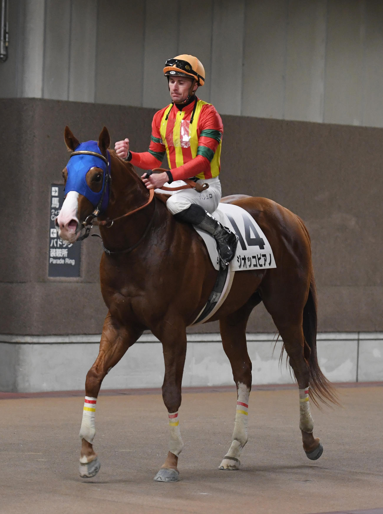 東京5R新馬戦を制したジオッコピアノとバシュロ騎手（撮影・柴田隆二）