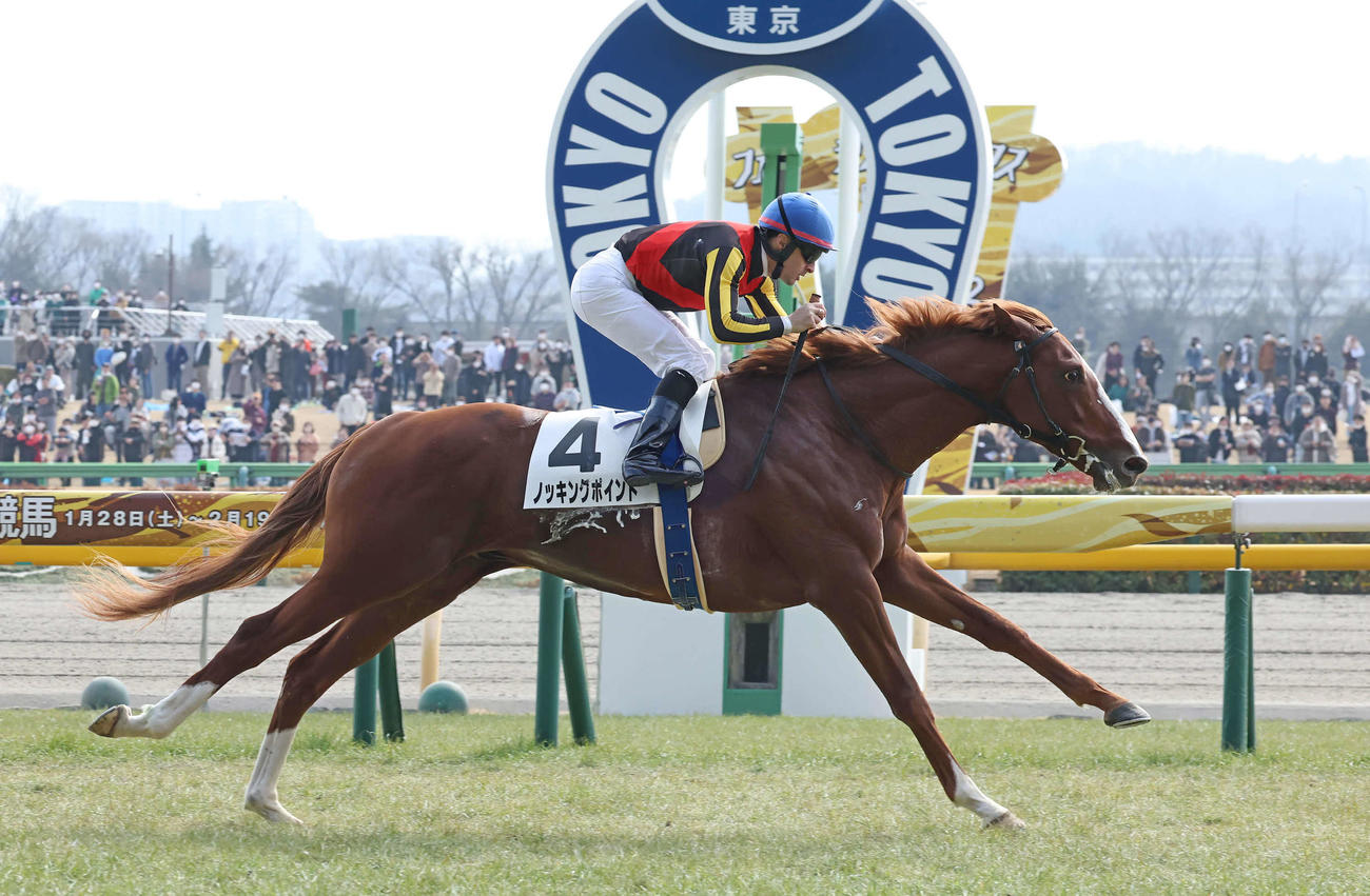 東京6R、3歳1勝クラスを制したノッキングポイントとルメール騎手（撮影・丹羽敏通）